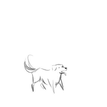 Animated dog