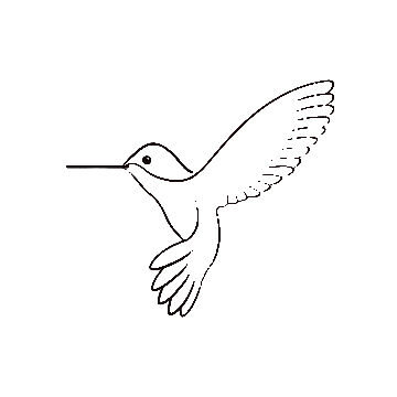 Hummingbird animation